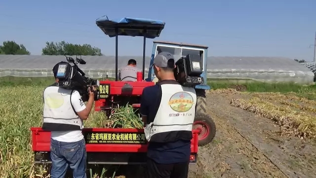 妖精视频在线观看污收獲機