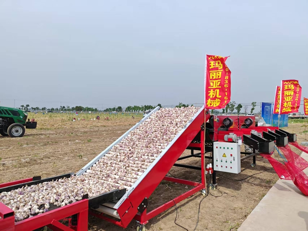 妖精视频在线观看污自動分選機